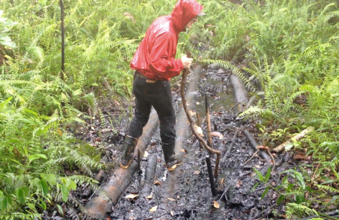 AMP volunteer searching for petro-tolerant fungi in contaminated sites